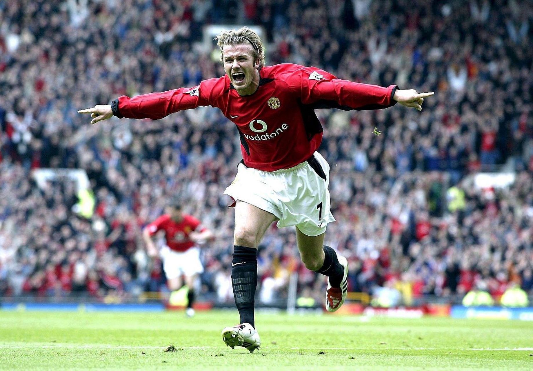 山东泰山奇 山东泰山奇